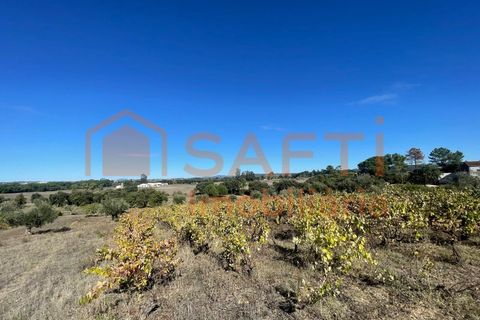 Helårsgrund i Tomar, Santarem, Tomar - € 35.000 | Ref: SAFTI:007358 - foto 27