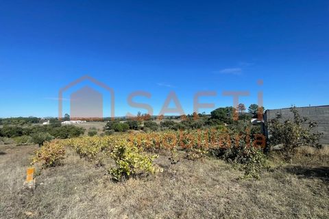 Helårsgrund i Tomar, Santarem, Tomar - € 35.000 | Ref: SAFTI:007358 - foto 28