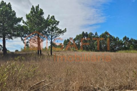 Helårsgrund i A dos Cunhados e Maceira, Lisbon, A dos Cunhados e Maceira - € 135.000 | Ref: SAFTI:007326 - foto 3