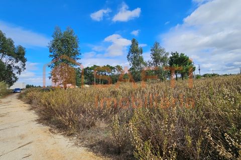 Helårsgrund i A dos Cunhados e Maceira, Lisbon, A dos Cunhados e Maceira - € 135.000 | Ref: SAFTI:007326 - foto 5