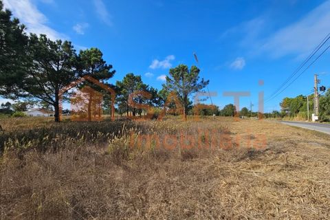 Helårsgrund i A dos Cunhados e Maceira, Lisbon, A dos Cunhados e Maceira - € 135.000 | Ref: SAFTI:007326 - foto 6