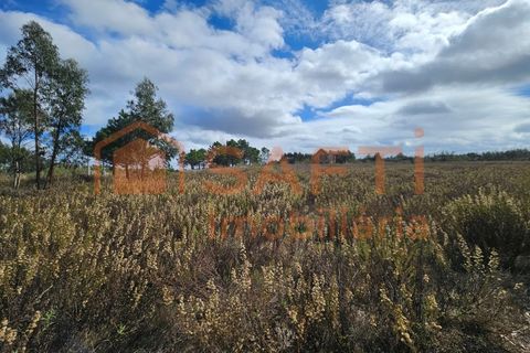Helårsgrund i A dos Cunhados e Maceira, Lisbon, A dos Cunhados e Maceira - € 135.000 | Ref: SAFTI:007326 - foto 9