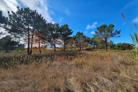 Helårsgrund i A dos Cunhados e Maceira, Lisbon, A dos Cunhados e Maceira - € 135.000 | Ref: SAFTI:007326 - foto 10