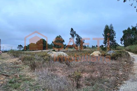 Helårsgrund i A dos Cunhados e Maceira, Lisbon, A dos Cunhados e Maceira - € 135.000 | Ref: SAFTI:007326 - foto 12