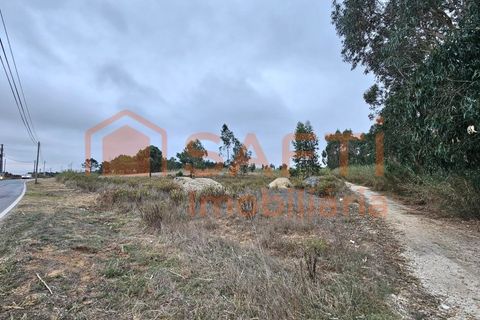 Helårsgrund i A dos Cunhados e Maceira, Lisbon, A dos Cunhados e Maceira - € 135.000 | Ref: SAFTI:007326 - foto 13