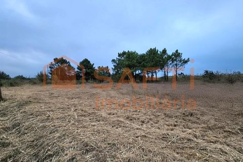 Helårsgrund i A dos Cunhados e Maceira, Lisbon, A dos Cunhados e Maceira - € 135.000 | Ref: SAFTI:007326 - foto 14