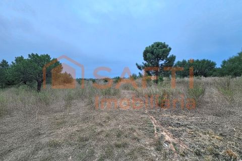 Helårsgrund i A dos Cunhados e Maceira, Lisbon, A dos Cunhados e Maceira - € 135.000 | Ref: SAFTI:007326 - foto 15
