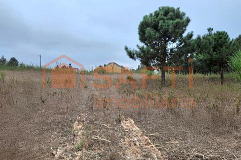 Helårsgrund i A dos Cunhados e Maceira, Lisbon, A dos Cunhados e Maceira - € 135.000 | Ref: SAFTI:007326 - foto 16