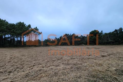 Helårsgrund i A dos Cunhados e Maceira, Lisbon, A dos Cunhados e Maceira - € 135.000 | Ref: SAFTI:007326 - foto 18