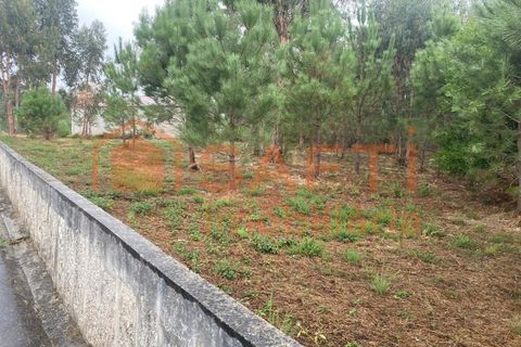 Terra a Bela, Viana do Castelo, Bela - € 56.000 | Ref: SAFTI:007344 - foto 3