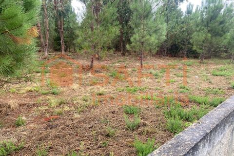 Terra a Bela, Viana do Castelo, Bela - € 56.000 | Ref: SAFTI:007344 - foto 4