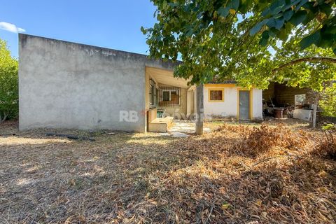Terreno en Abrantes, Santarem, Abrantes - € 96.000 | Ref: 01751-26 - photo 1