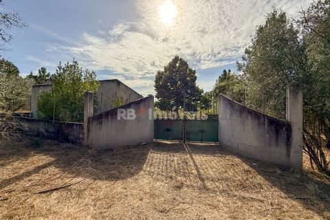 Terreno en Abrantes, Santarem, Abrantes - € 96.000 | Ref: 01751-26 - photo 3