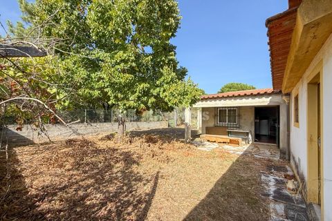 Terreno en Abrantes, Santarem, Abrantes - € 96.000 | Ref: 01751-26 - photo 2