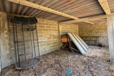 Terreno en Abrantes, Santarem, Abrantes - € 96.000 | Ref: 01751-26 - photo 13