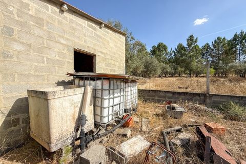 Terreno en Abrantes, Santarem, Abrantes - € 96.000 | Ref: 01751-26 - photo 15