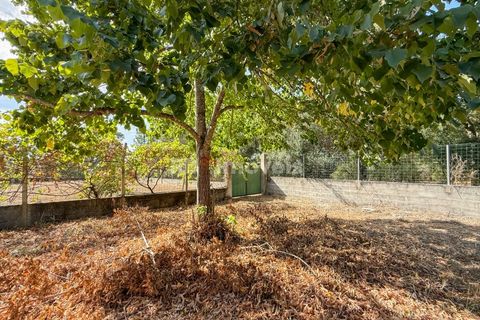 Terreno en Abrantes, Santarem, Abrantes - € 96.000 | Ref: 01751-26 - photo 16