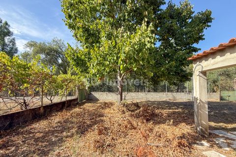 Terreno en Abrantes, Santarem, Abrantes - € 96.000 | Ref: 01751-26 - photo 17