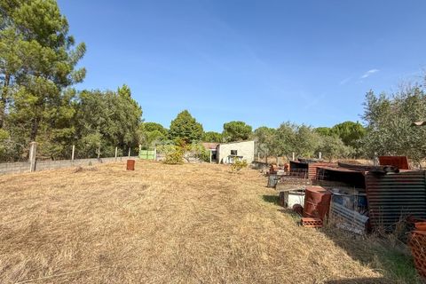 Terreno en Abrantes, Santarem, Abrantes - € 96.000 | Ref: 01751-26 - photo 18