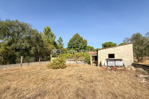Terreno en Abrantes, Santarem, Abrantes - € 96.000 | Ref: 01751-26 - photo 19