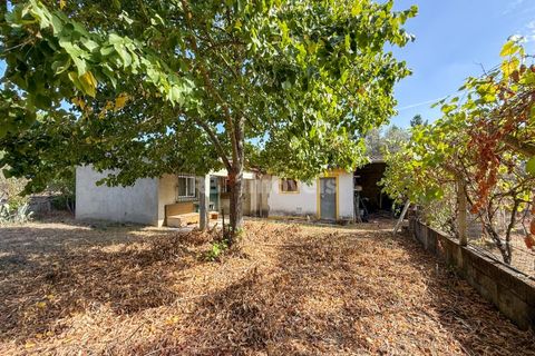Terreno en Abrantes, Santarem, Abrantes - € 96.000 | Ref: 01751-26 - photo 20