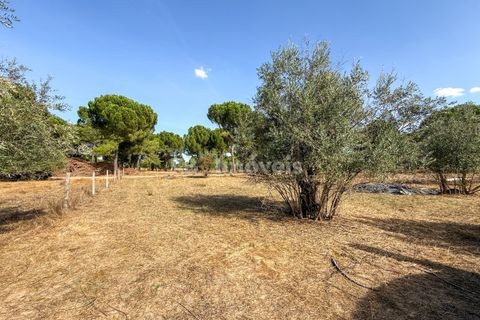 Terreno en Abrantes, Santarem, Abrantes - € 96.000 | Ref: 01751-26 - photo 21