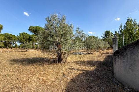 Terreno en Abrantes, Santarem, Abrantes - € 96.000 | Ref: 01751-26 - photo 24