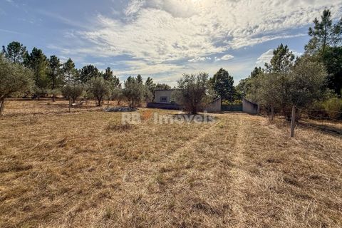 Terreno en Abrantes, Santarem, Abrantes - € 96.000 | Ref: 01751-26 - photo 25