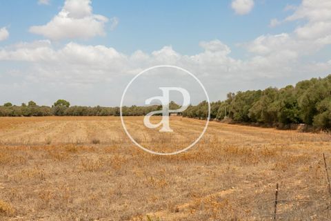 Terra a Campos, Mallorca, Campos - € 725.000 | Ref: VPM2208037 - foto 1