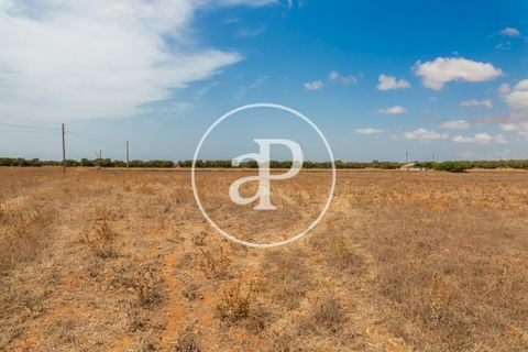 Terra a Campos, Mallorca, Campos - € 725.000 | Ref: VPM2208037 - foto 7