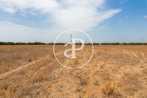 Terra a Campos, Mallorca, Campos - € 725.000 | Ref: VPM2208037 - foto 8