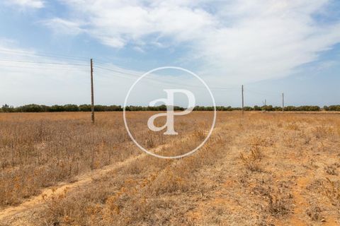 Terra a Campos, Mallorca, Campos - € 725.000 | Ref: VPM2208037 - foto 9