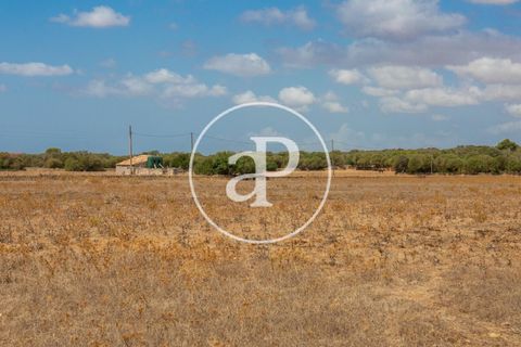 Terra a Campos, Mallorca, Campos - € 725.000 | Ref: VPM2208037 - foto 11