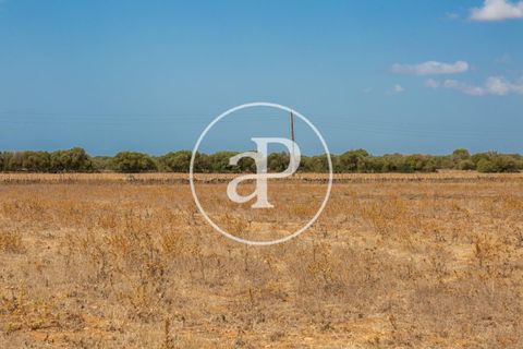 Terra a Campos, Mallorca, Campos - € 725.000 | Ref: VPM2208037 - foto 13