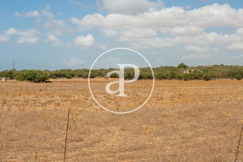 Terra a Campos, Mallorca, Campos - € 725.000 | Ref: VPM2208037 - foto 15