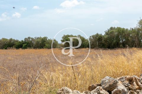 Terra a Campos, Mallorca, Campos - € 725.000 | Ref: VPM2208037 - foto 23