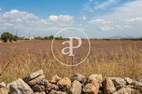 Terra a Campos, Mallorca, Campos - € 725.000 | Ref: VPM2208037 - foto 24