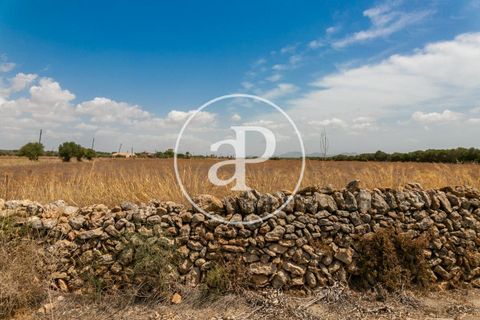 Terra a Campos, Mallorca, Campos - € 725.000 | Ref: VPM2208037 - foto 27