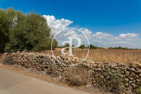 Terra a Campos, Mallorca, Campos - € 725.000 | Ref: VPM2208037 - foto 28