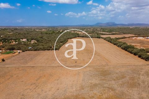 Terra a Campos, Mallorca, Campos - € 725.000 | Ref: VPM2208037 - foto 31