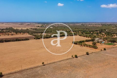Terra a Campos, Mallorca, Campos - € 725.000 | Ref: VPM2208037 - foto 32