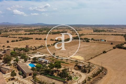 Terra a Campos, Mallorca, Campos - € 725.000 | Ref: VPM2208037 - foto 34