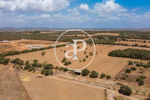 Terra a Campos, Mallorca, Campos - € 725.000 | Ref: VPM2208037 - foto 35