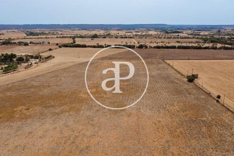 Terra a Campos, Mallorca, Campos - € 725.000 | Ref: VPM2208037 - foto 36