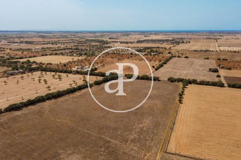 Terra a Campos, Mallorca, Campos - € 725.000 | Ref: VPM2208037 - foto 38