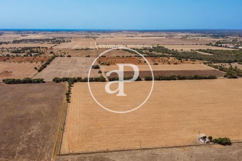 Terra a Campos, Mallorca, Campos - € 725.000 | Ref: VPM2208037 - foto 39
