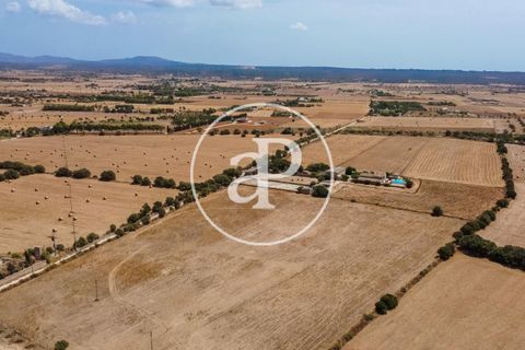 Terra a Campos, Mallorca, Campos - € 725.000 | Ref: VPM2208037 - foto 40
