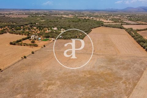 Terra a Campos, Mallorca, Campos - € 725.000 | Ref: VPM2208037 - foto 43