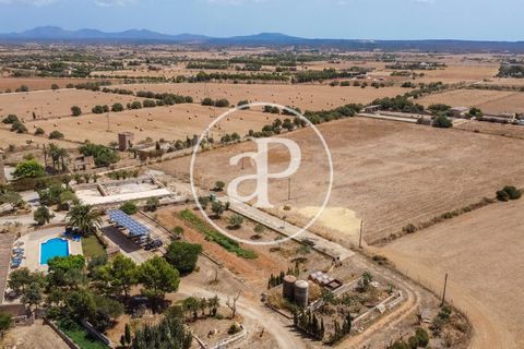 Terra a Campos, Mallorca, Campos - € 725.000 | Ref: VPM2208037 - foto 44