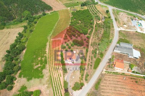 Villa i Bombarral, Leiria, Bombarral - € 527.000 | Ref: 150250309 - foto 31